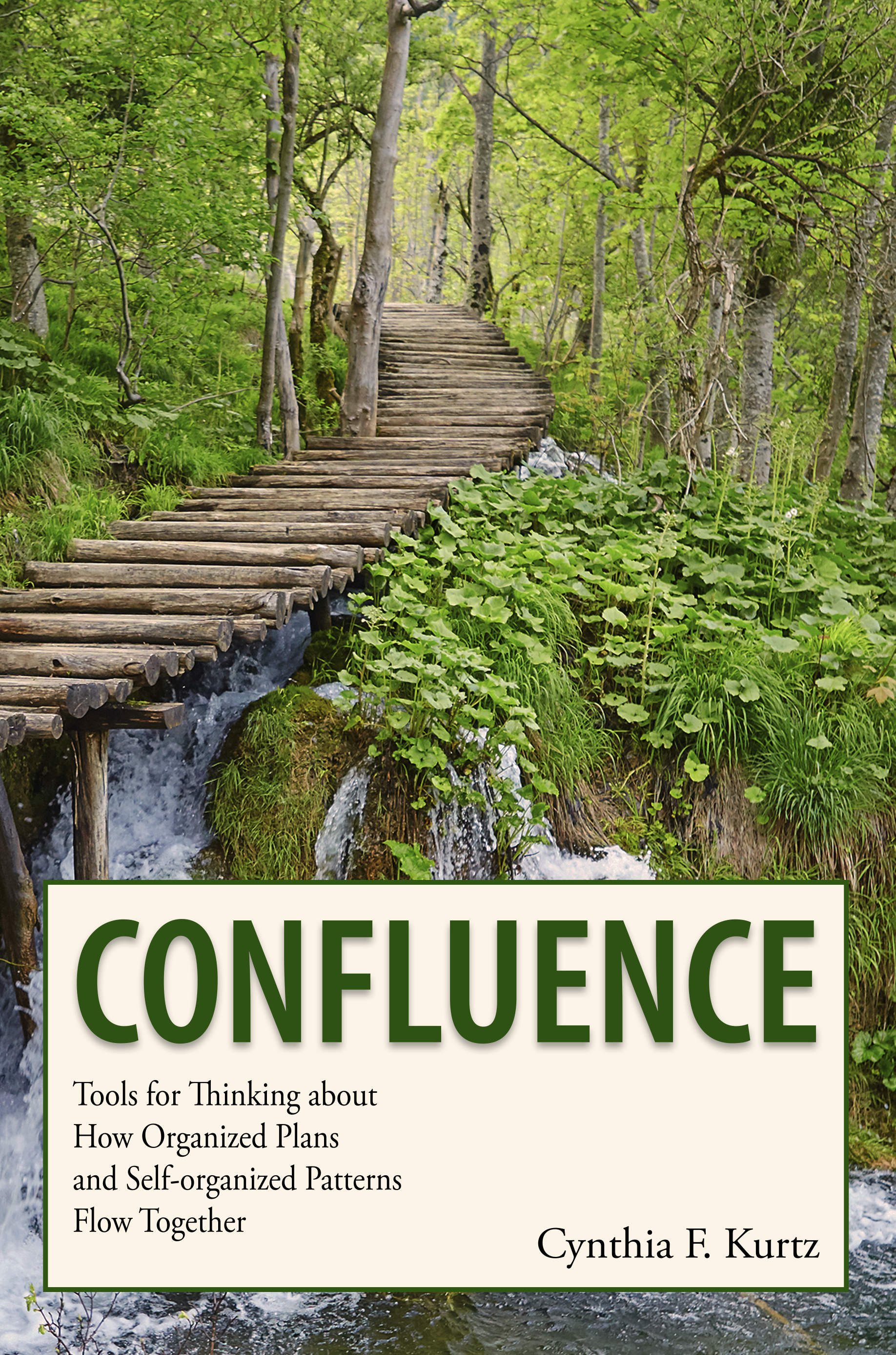 Confluence book cover