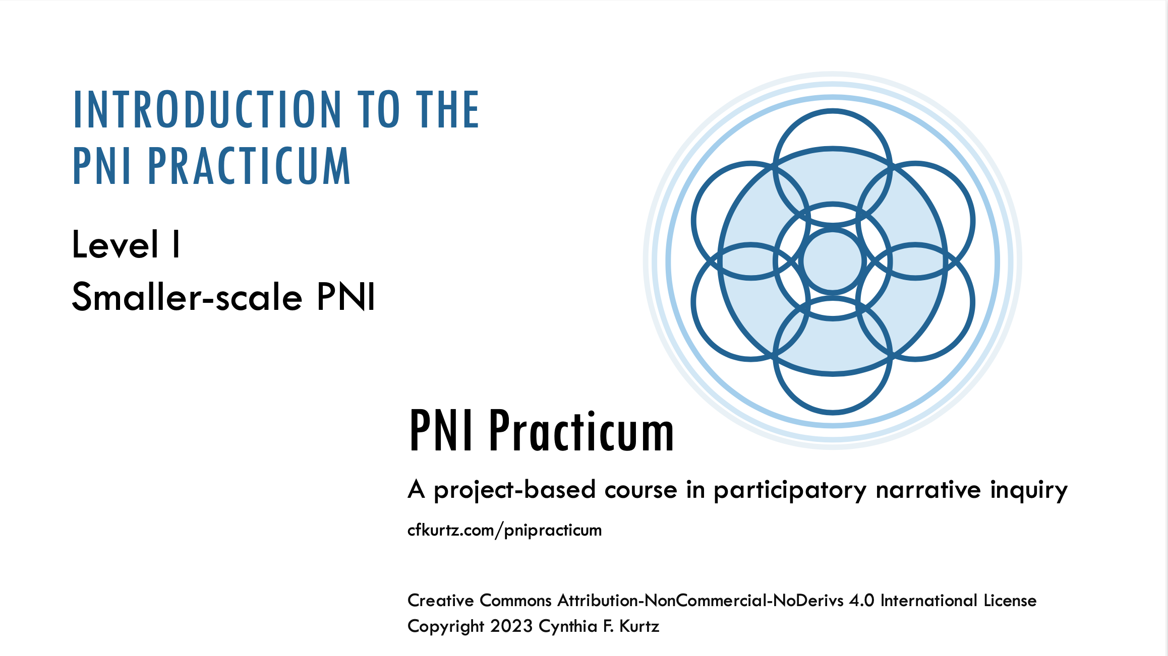 PNI Practicum I Course Description