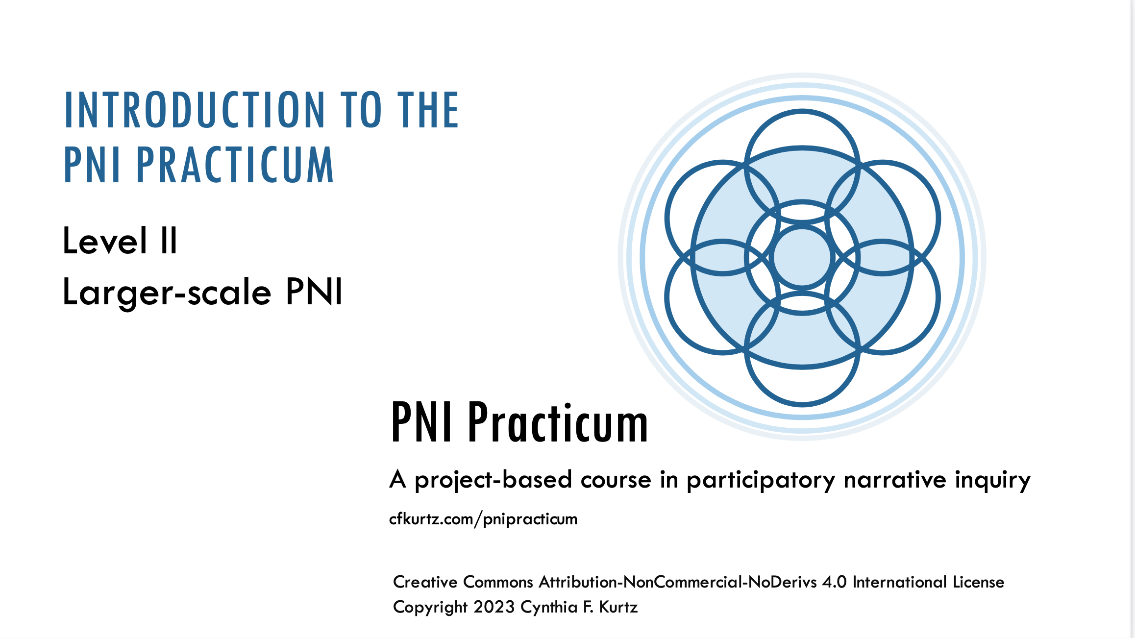 PNI Practicum II Course Description